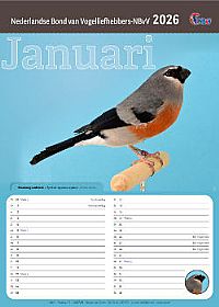 Kalender 2026 1 stuks